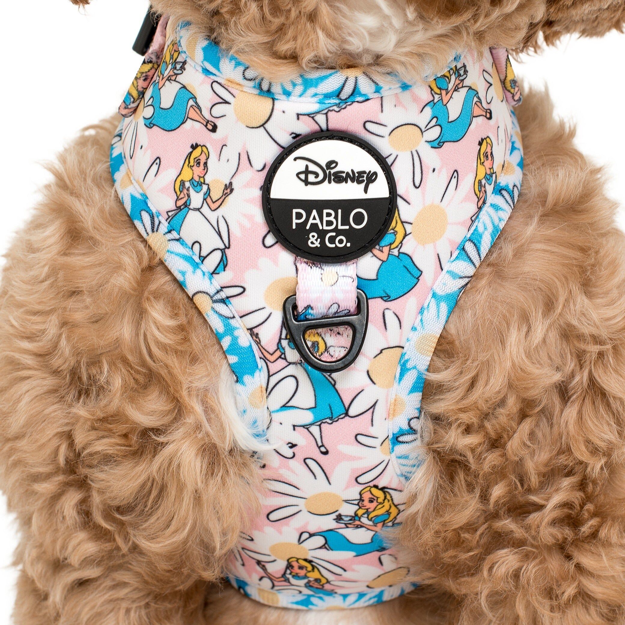 Image link to product page