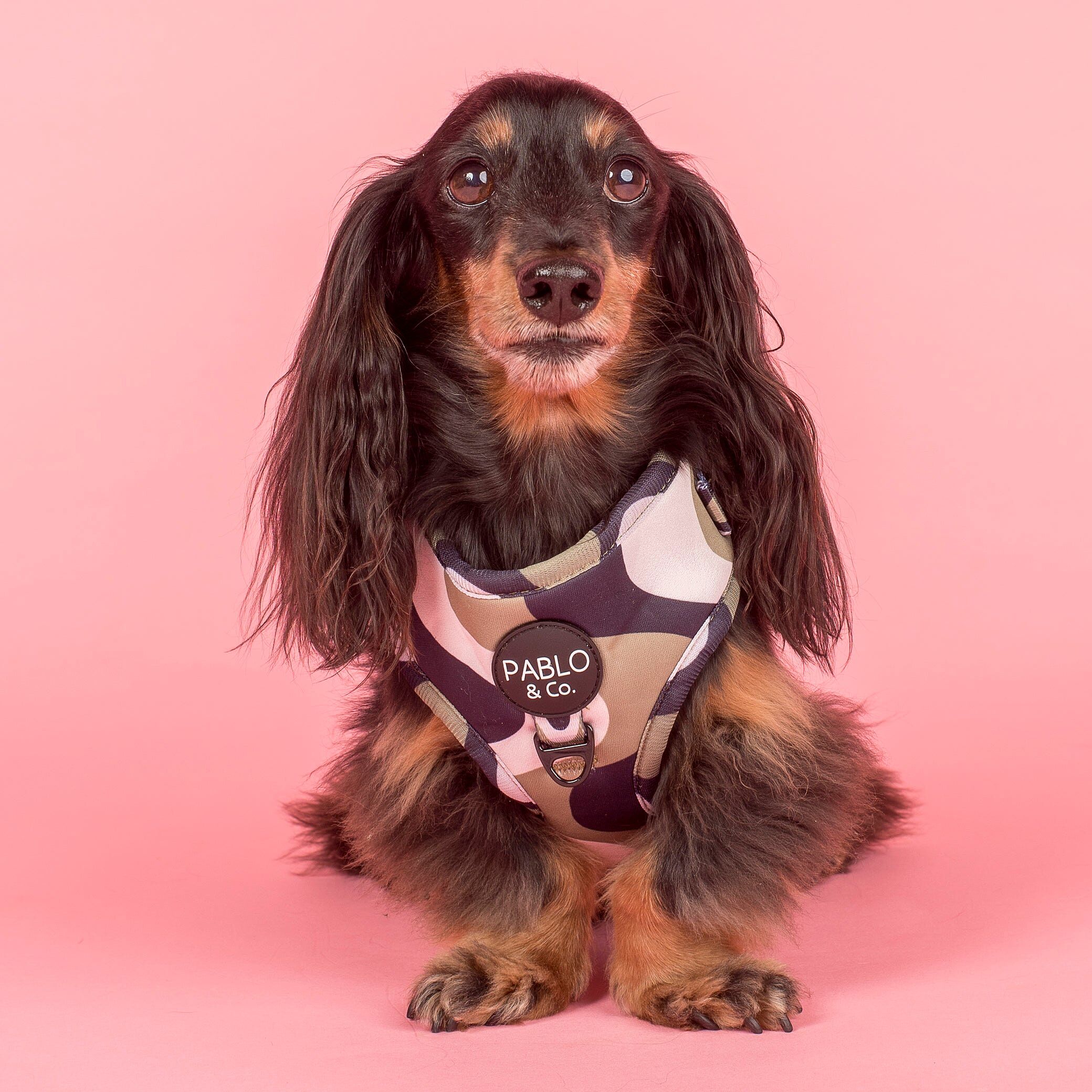 Image link to product page