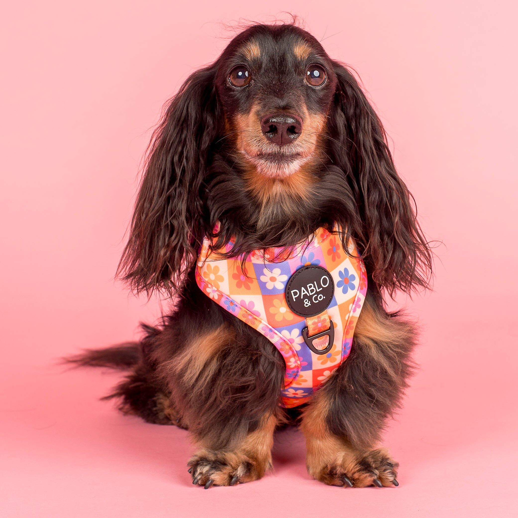 Image link to product page