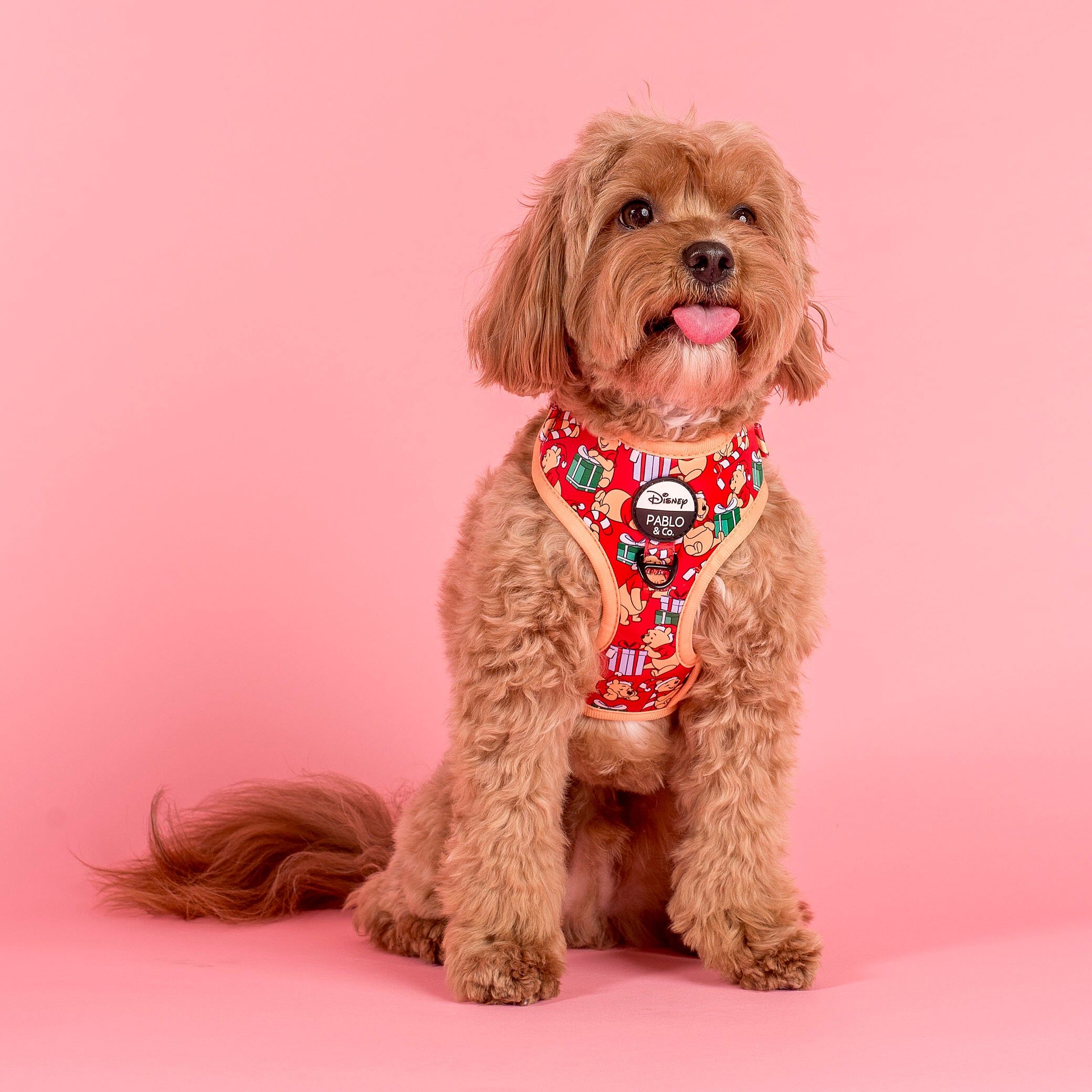 Image link to product page