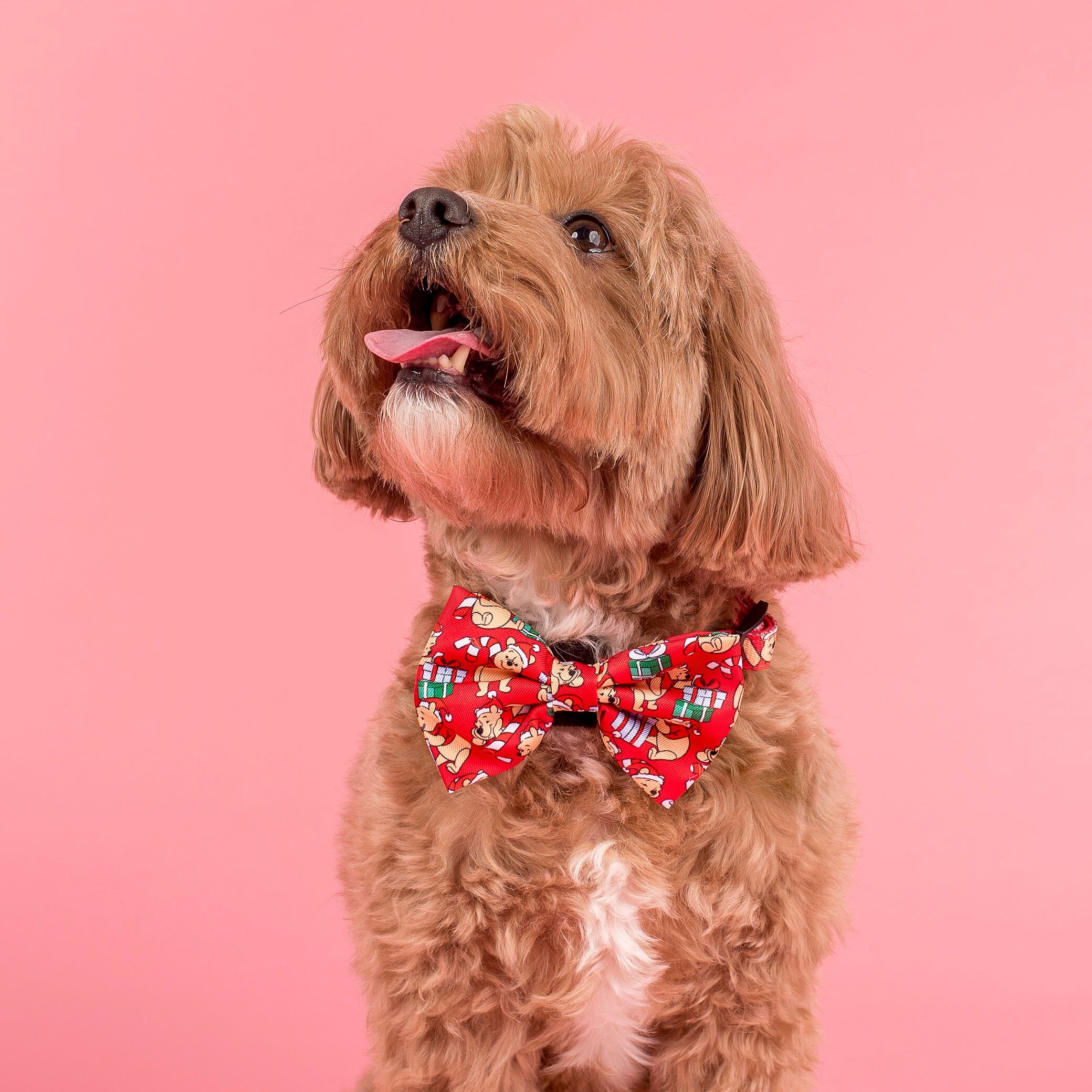 Image link to product page