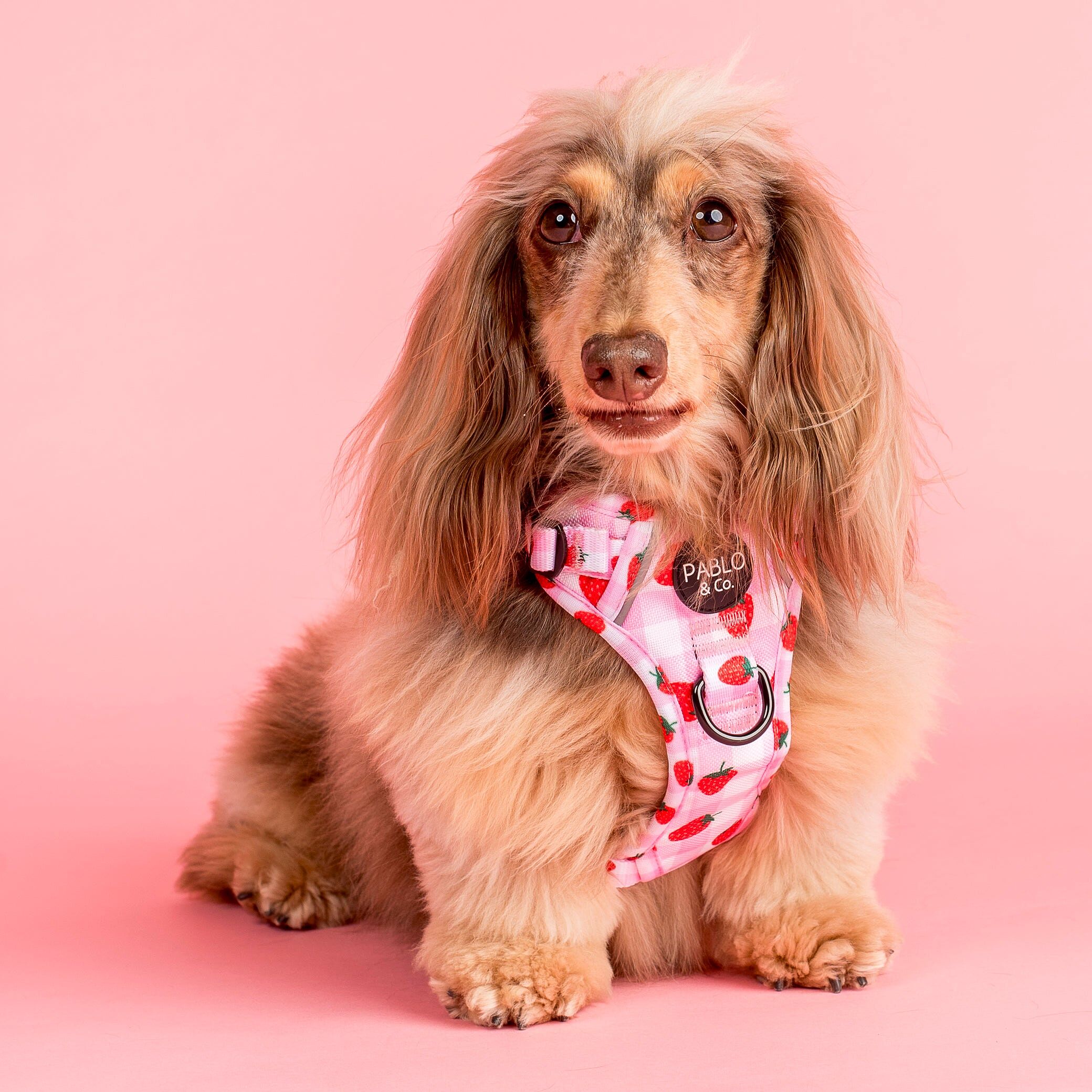 Image link to product page