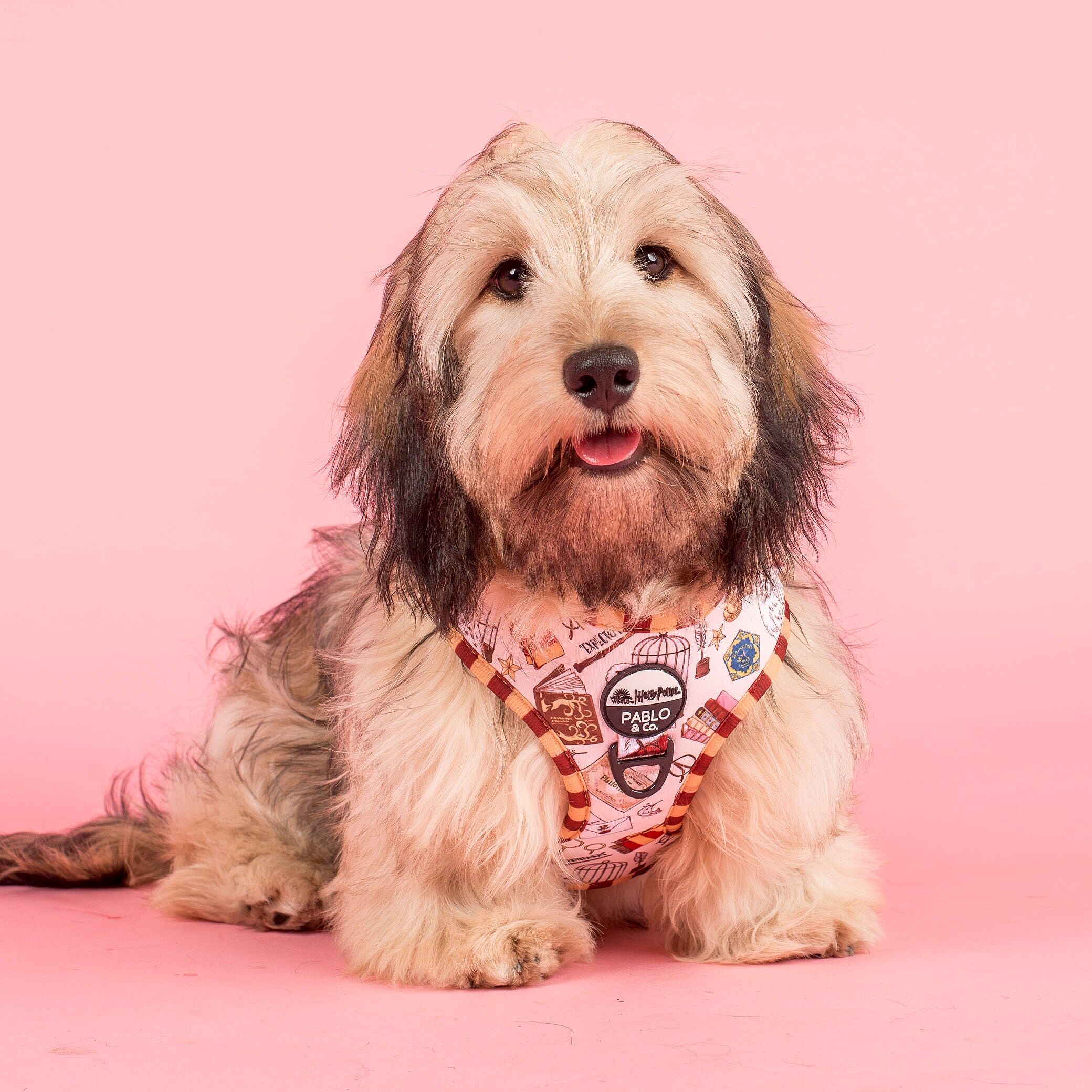 Image link to product page