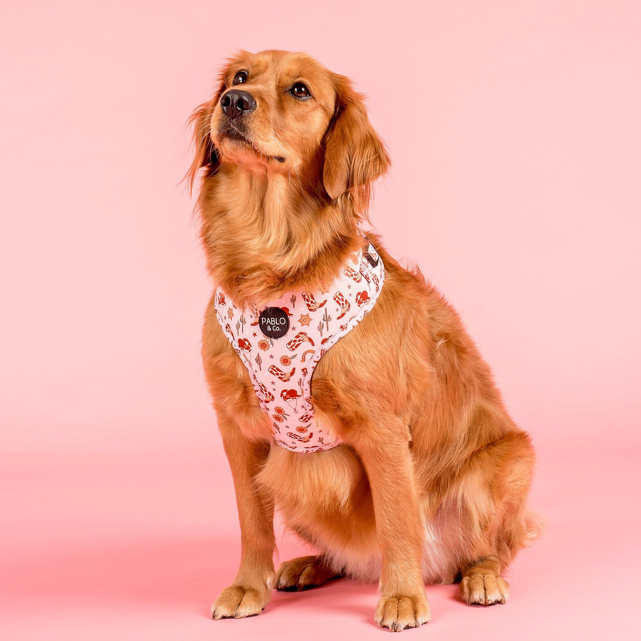 Image link to product page