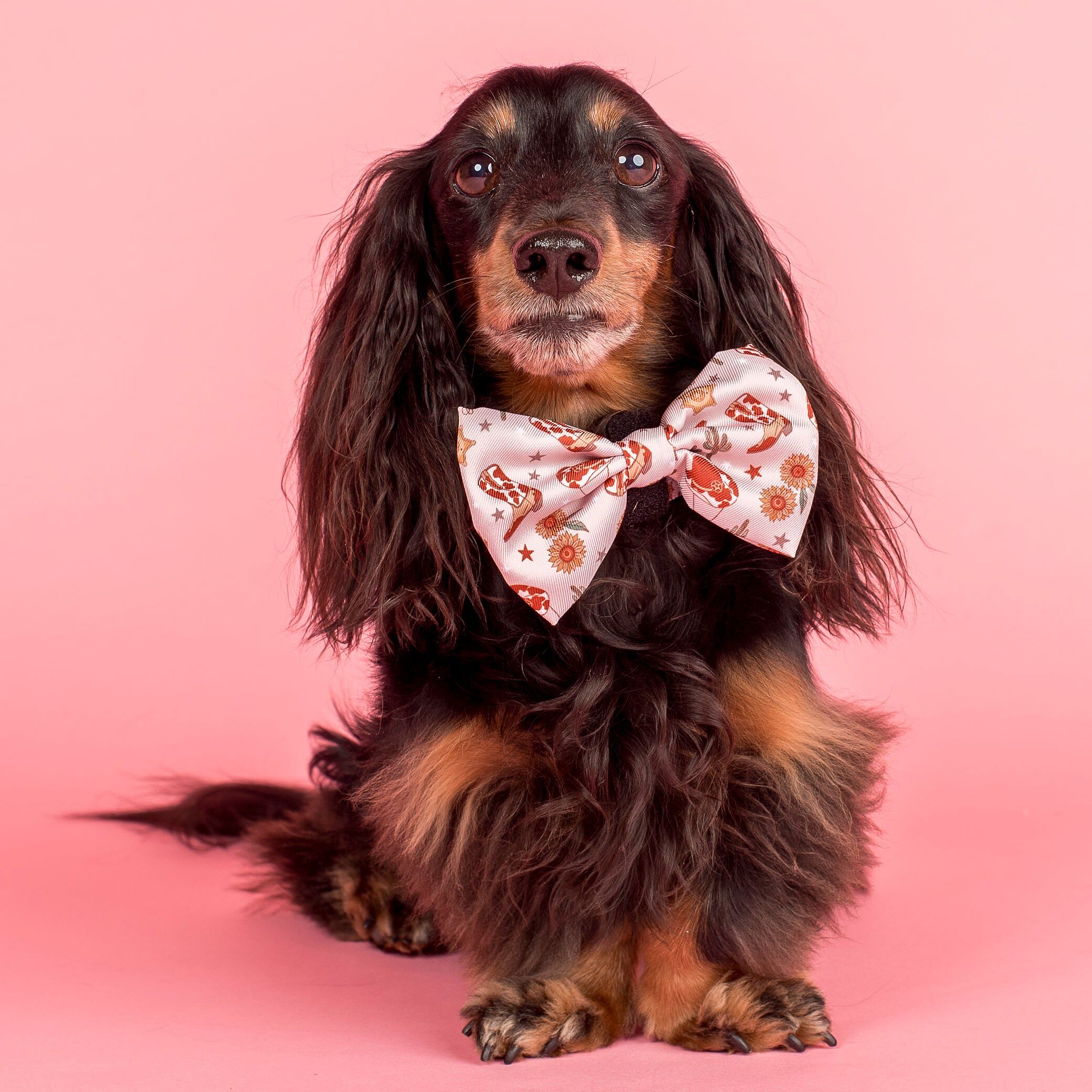 Image link to product page