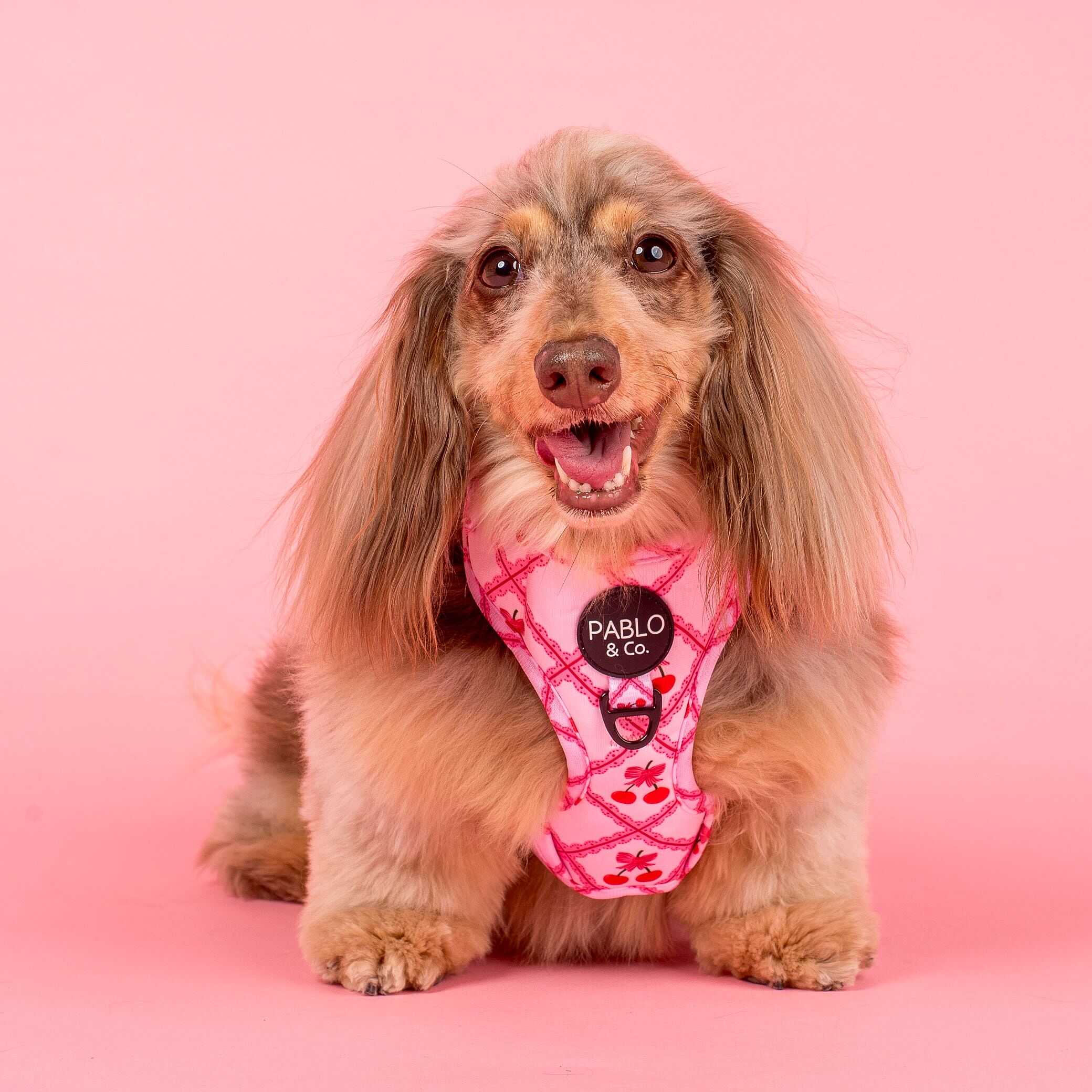 Image link to product page