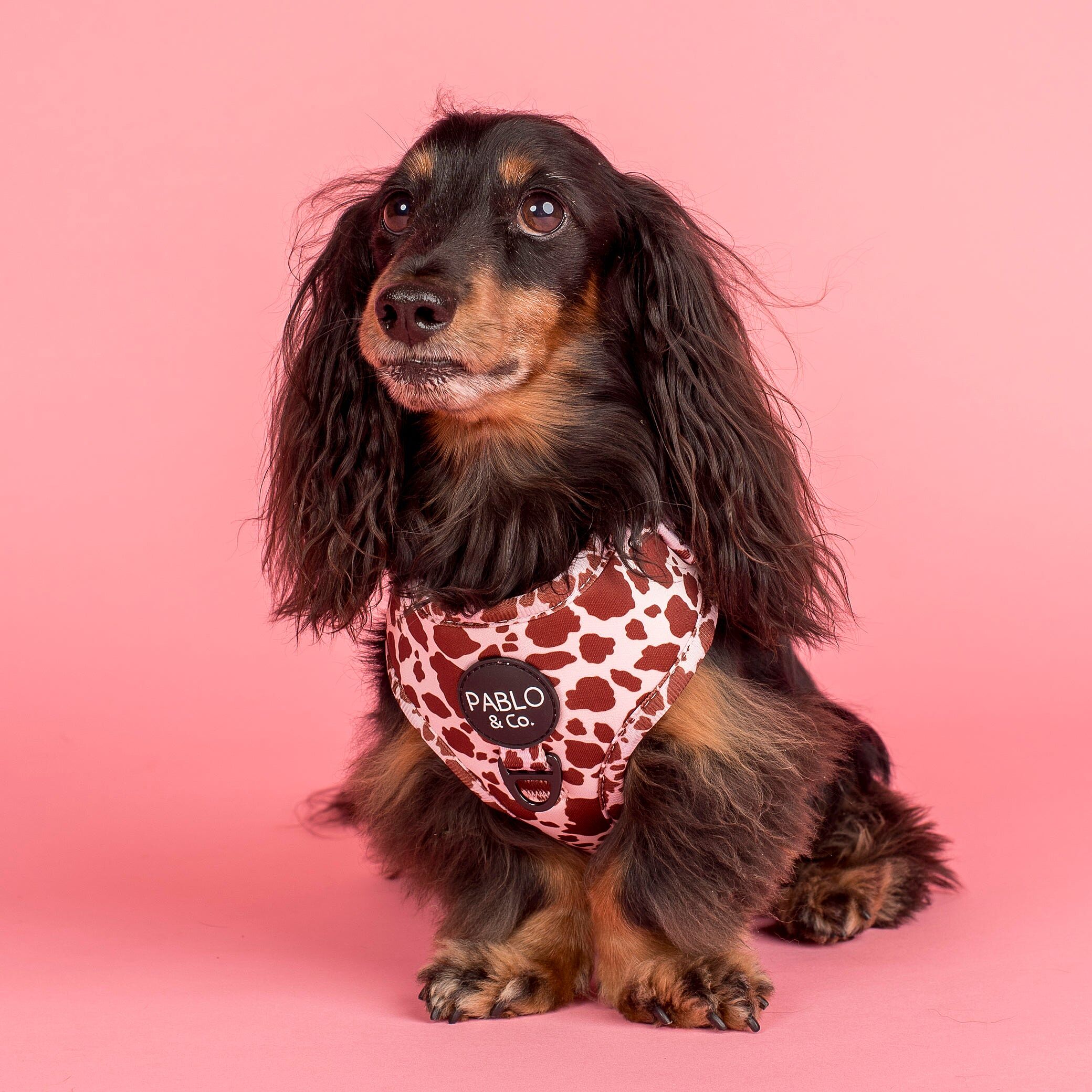 Image link to product page