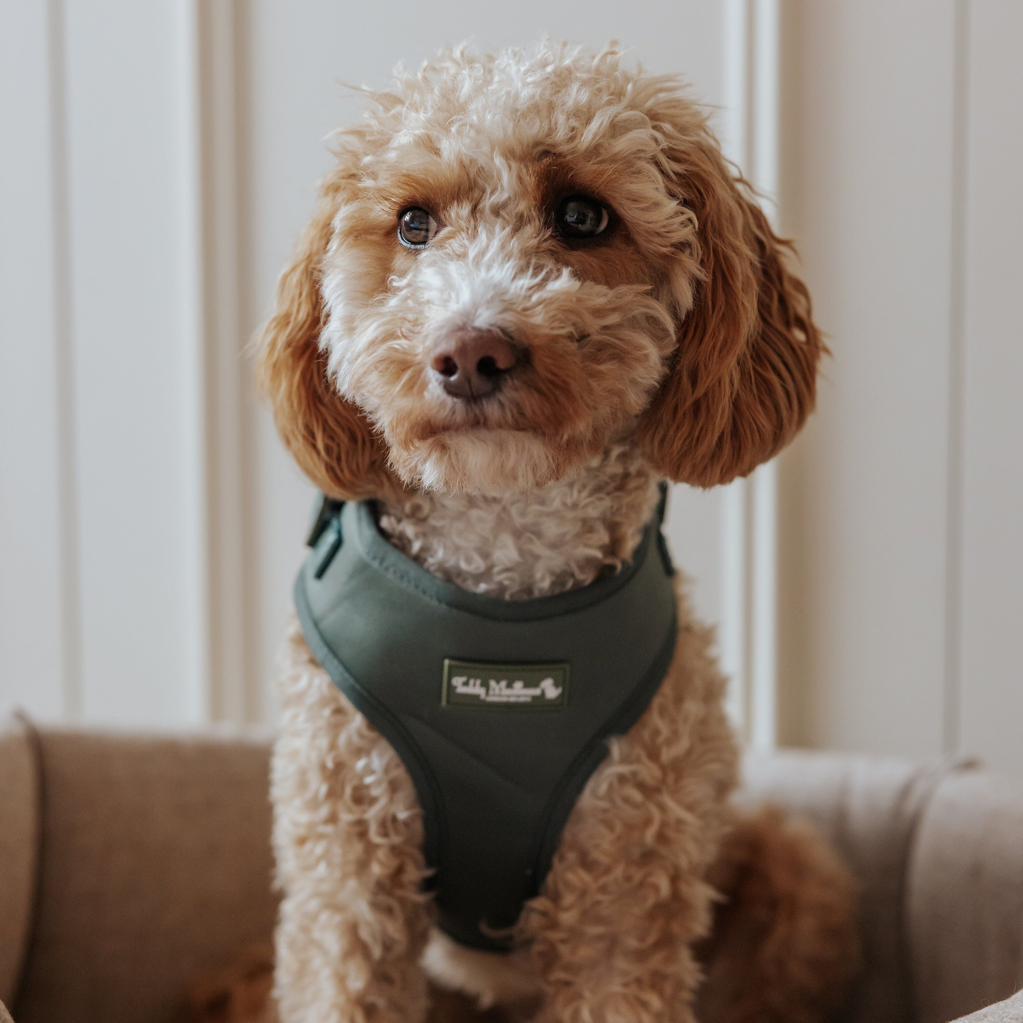 Image link to product page