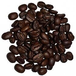 Capresso 5 Cup Mini Drip Coffee Maker
