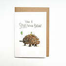 Product image for Have a Spiketacular Birthday