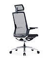 Product image for Chaise de Bureau Ergonomique | INVICTA