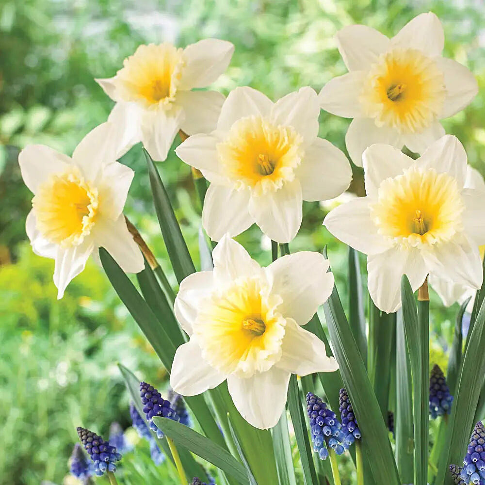 Image link to product page