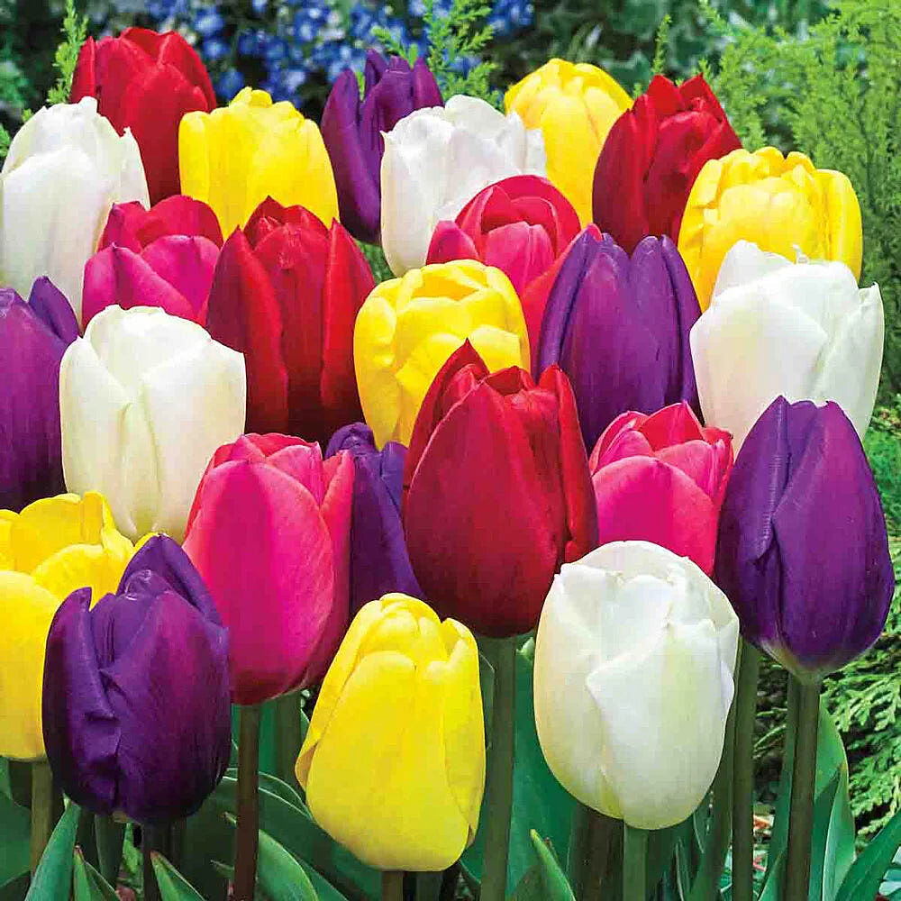 Image link to product page