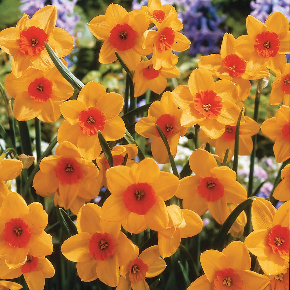 Image link to product page