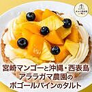 Product image for 宮崎マンゴーと沖縄・西表島アララガマ農園のボゴールパインのタルト