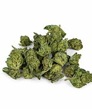 Buy Blizzard Bar Weed Strain - ZAZA Flower - The Hemp Doctor