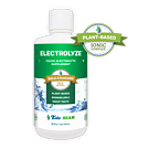 Product image for ELECTROLYZE: The Gold Standard for Electrolyte Replenishment