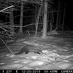 recon force advantage trail camera
