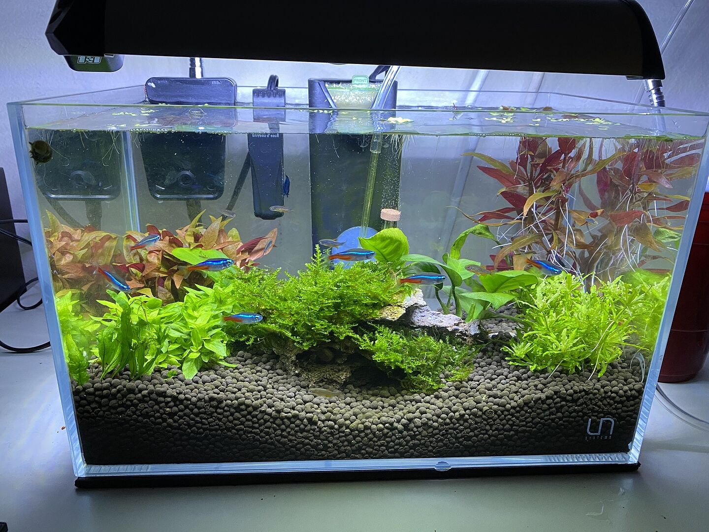 Planted Aquarium Tank 95G Mini CO2 Disposable System Kit Glass Aqua