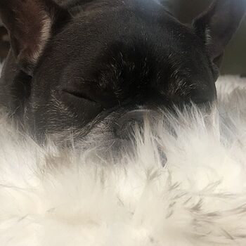 PupRug® Orthopedic Bed + Matching Waterproof Blanket Bundle - Rectangle Grey Love