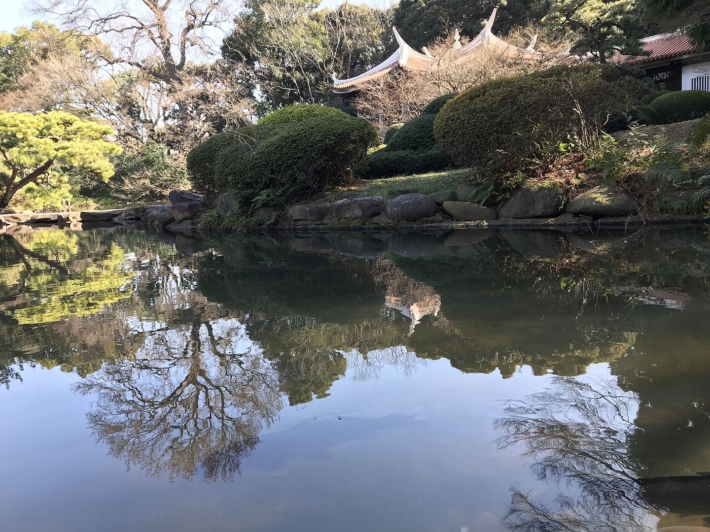 Absolutely stunning solitaire ring
