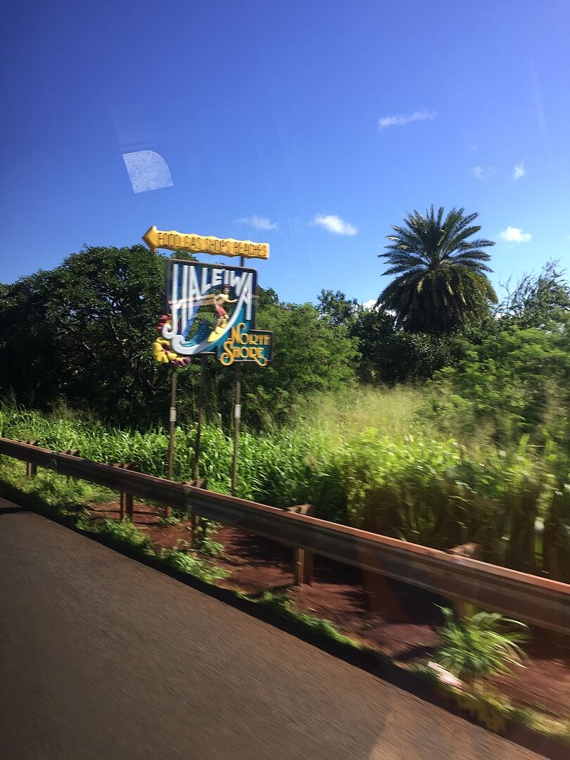 ノースショワ・パラダイスに参加しました。
見どころ満載で天気も良く、亀も見ることが出来ました。スタッフのヒロコさんの親切丁寧な説明に良い思い出になりました。