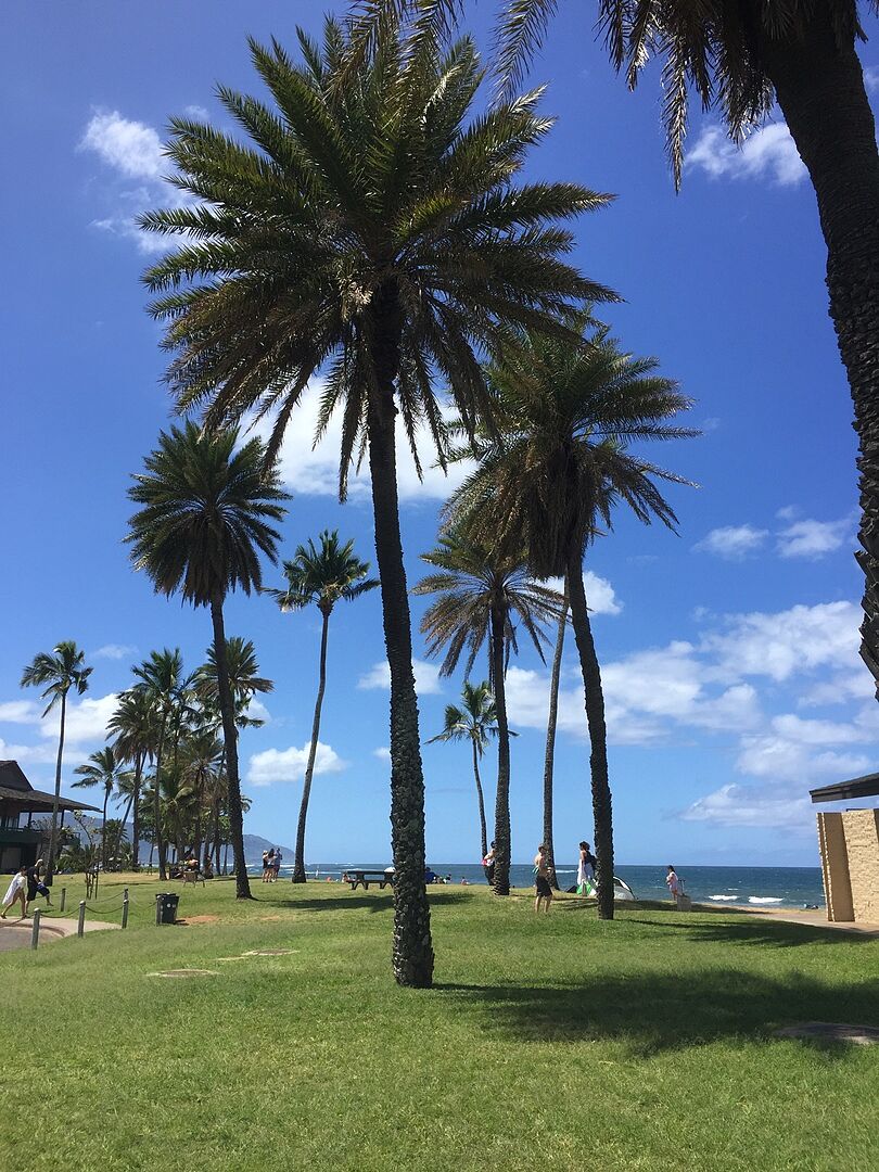 ノースショワ・パラダイスに参加しました。
見どころ満載で天気も良く、亀も見ることが出来ました。スタッフのヒロコさんの親切丁寧な説明に良い思い出になりました。