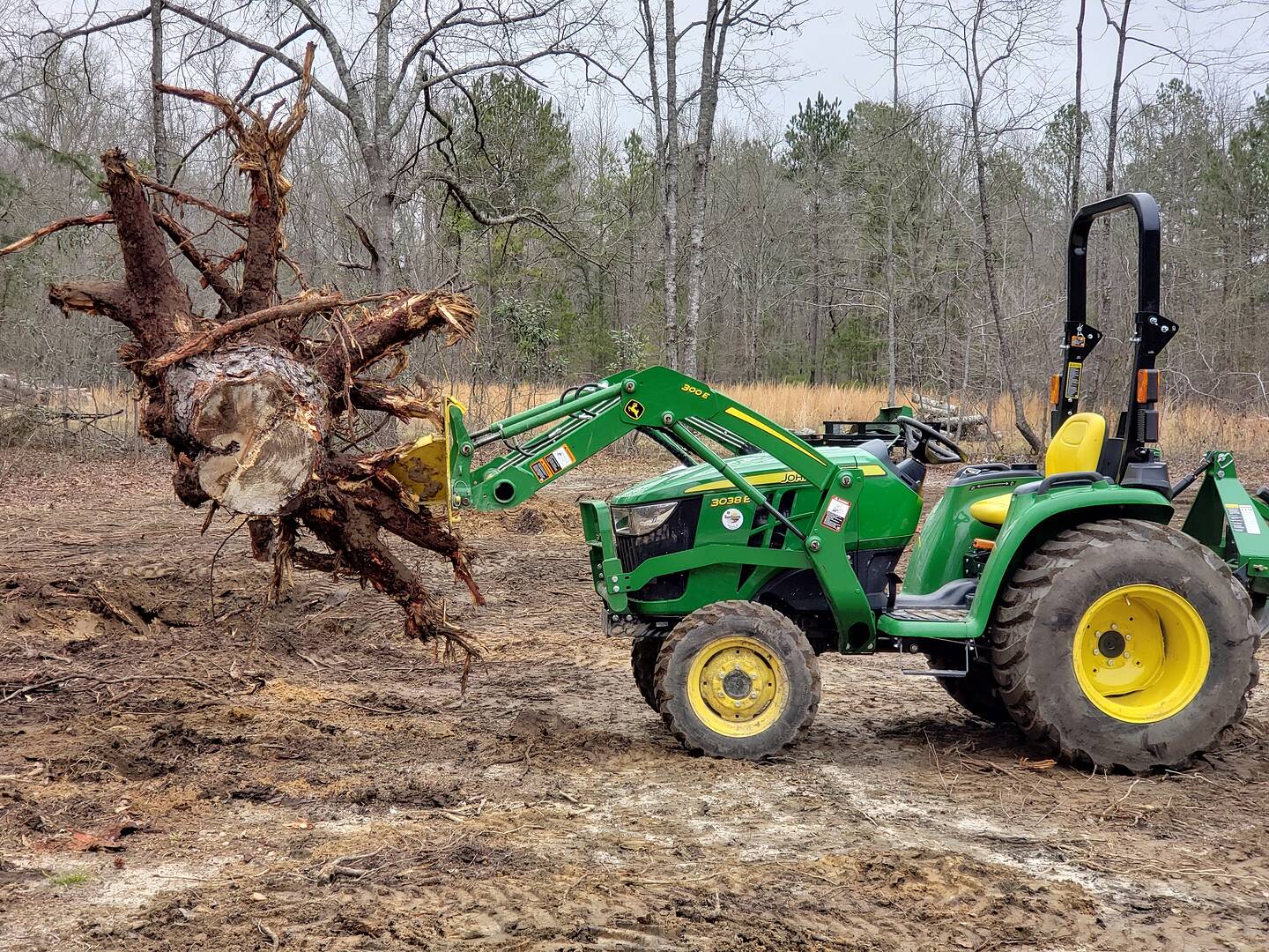 Stump Bucket 