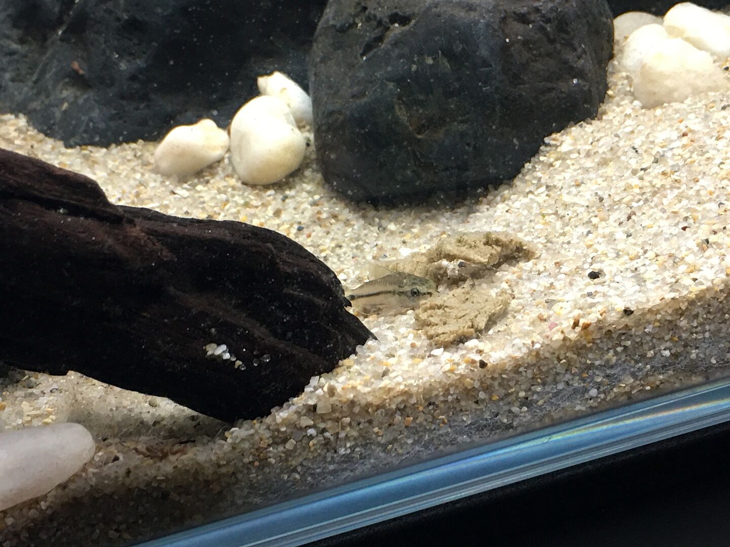 Fine Decorative Cosmetic Natural Sand For Aquariums Glass Aqua