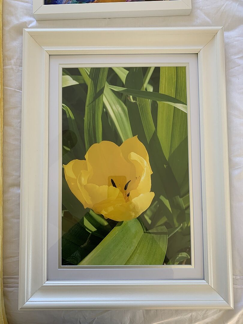 Photo Prints Quality Photo Printing Print Your Photos Online Mpix