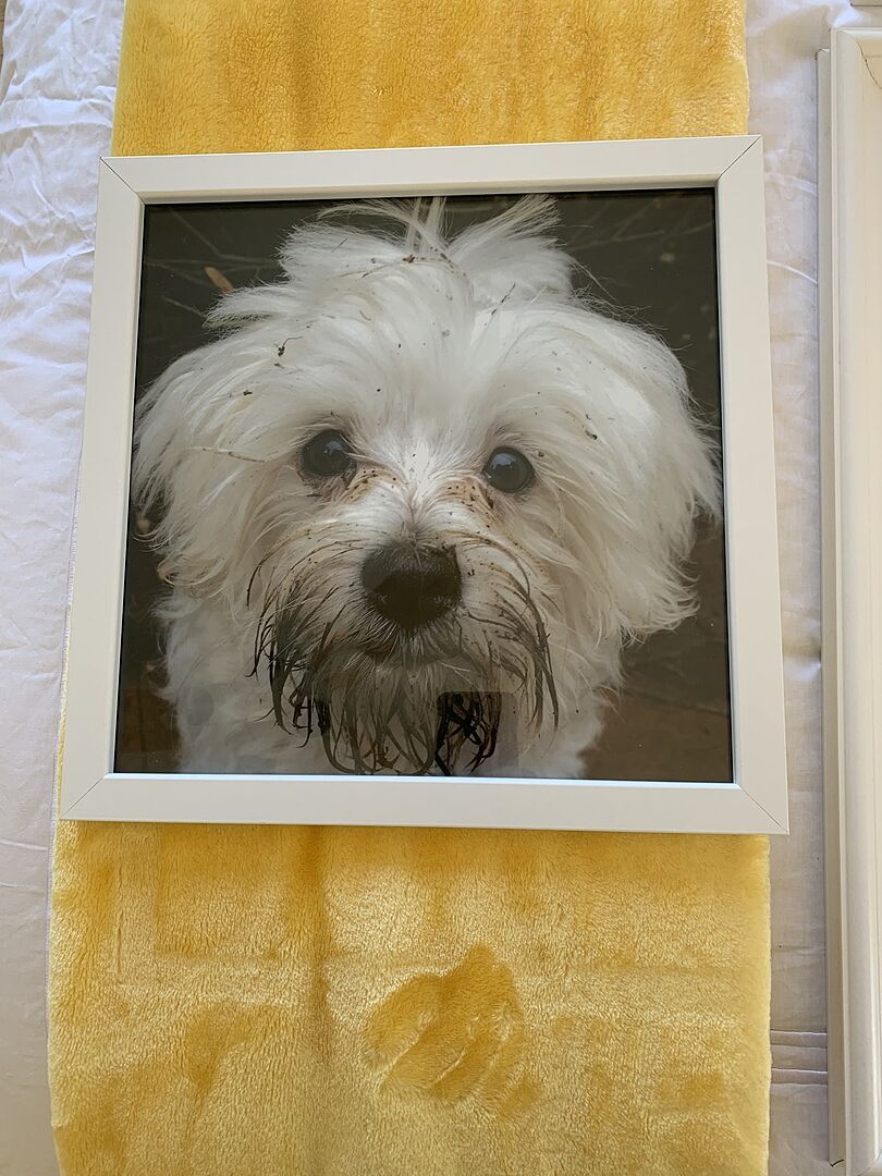 Photo Prints Quality Photo Printing Print Your Photos Online Mpix