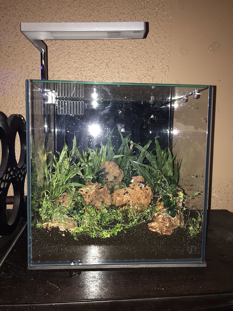 Cube Aquarium Tank Starter Kit Glass Aqua