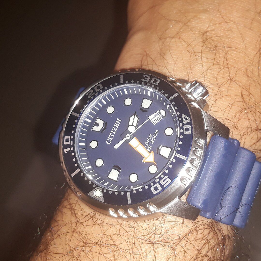 citizen professional diver