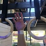 synergee gymnastic rings