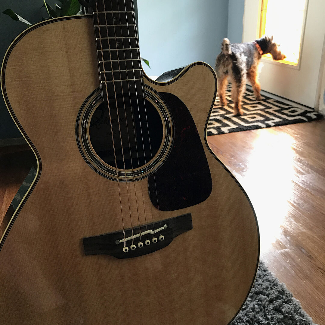 D'Addario NB1152 Nickel Bronze Acoustic Strings Custom Light 1152