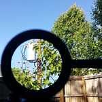 Image of Review by Kelvin R. on 18 Apr 2020 number 4