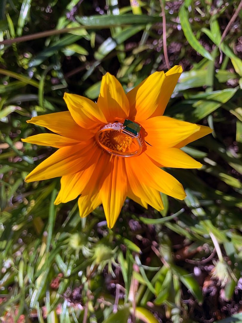 Amazing looking ring for my wife's birthday!