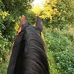 Image of Review by Nathalie V. on 26 May 2020 number 1