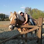 Image of Review by anita d. on  1 Jun 2020 number 2
