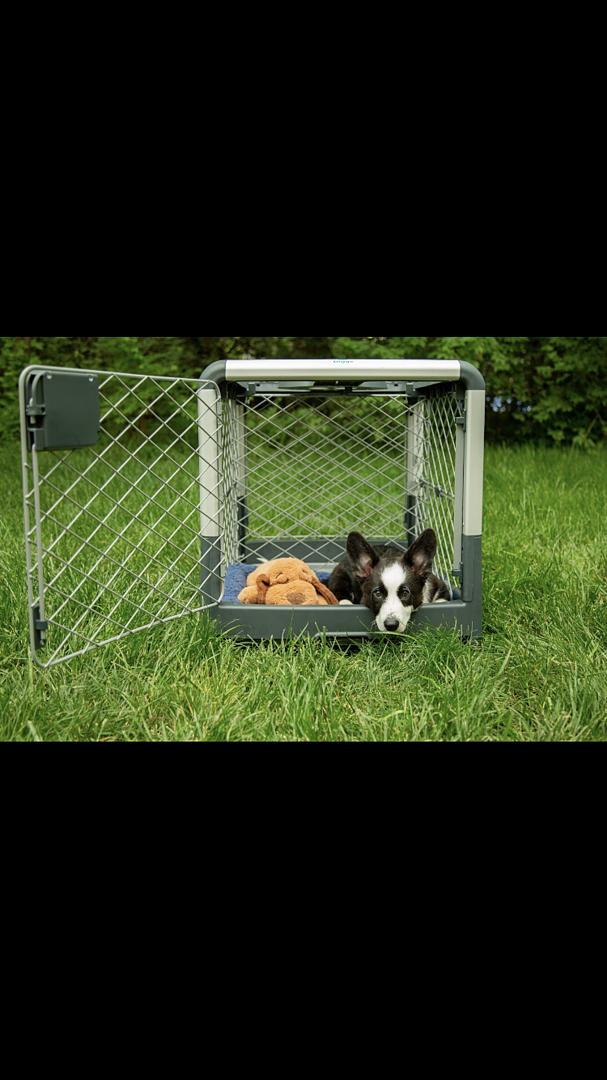Revol Pet Friendly Collapsible Dog Crate Diggs