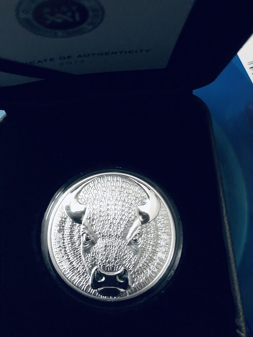 BINARY BULL Sol Noctis 10th Anniversary Bitcoin 1 Oz Silver Coin 1 mBTC 2019