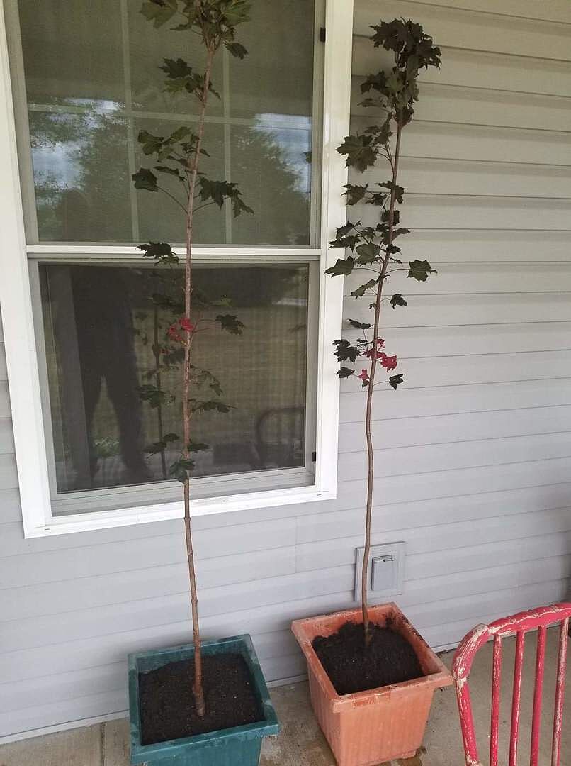 Arrived in great shape