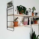 Image of Review by Nicole D. on 16 Jun 2020 number 1