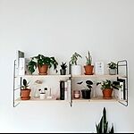 Image of Review by Nicole D. on 16 Jun 2020 number 2