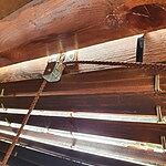 Image of Review by Natalia B. on  6 Jul 2020 number 1