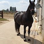 Image of Review by Séverine L. on 23 Jul 2020 number 1
