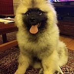 Image of Review by Christina C. on  3 Aug 2020 number 1