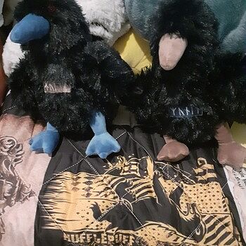 Grimfrost's Plushies, The Ravens Set I love them to bits!