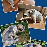 Image of Review by Elly K. on  8 Aug 2020 number 1