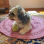 Image of Review by Elly K. on  8 Aug 2020 number 2